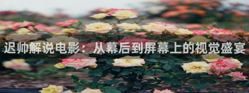 樱桃视频最新下载