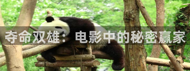 樱桃红电视剧全集38集在线观看