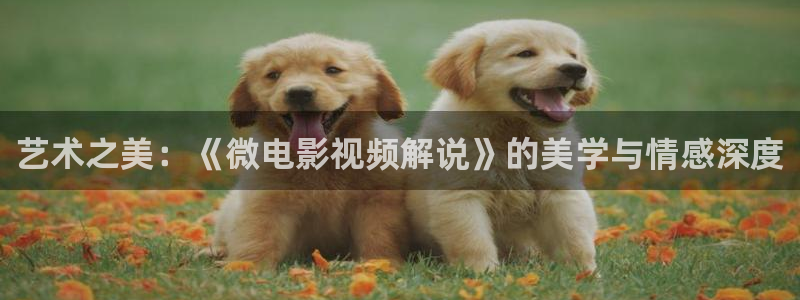 樱桃成人免费视频