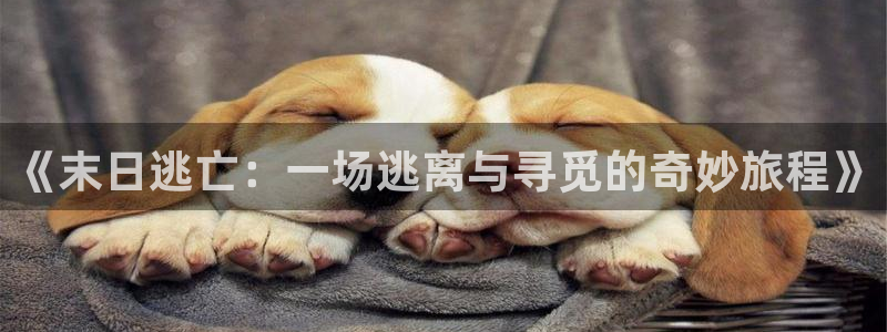 樱桃歌曲视频