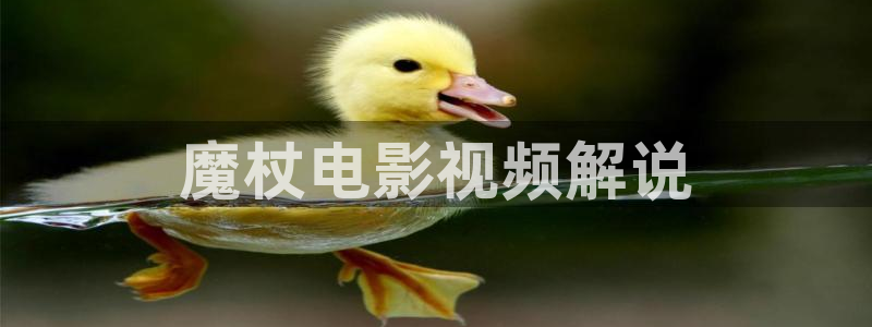 樱桃视频高清免费大全