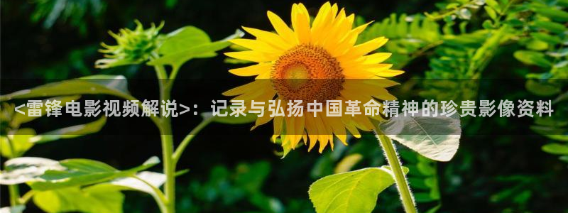 深夜樱桃视频