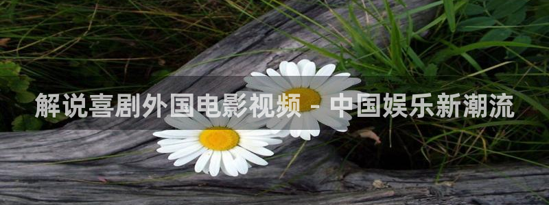 大连沙王樱桃品种介绍视频