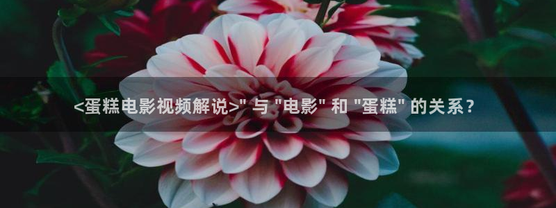 樱桃播放电视剧免费观看