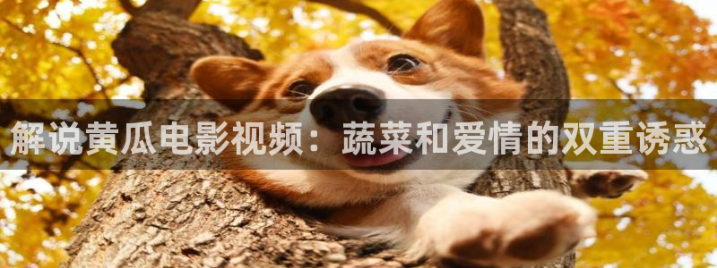 樱桃视频在线观看入口
