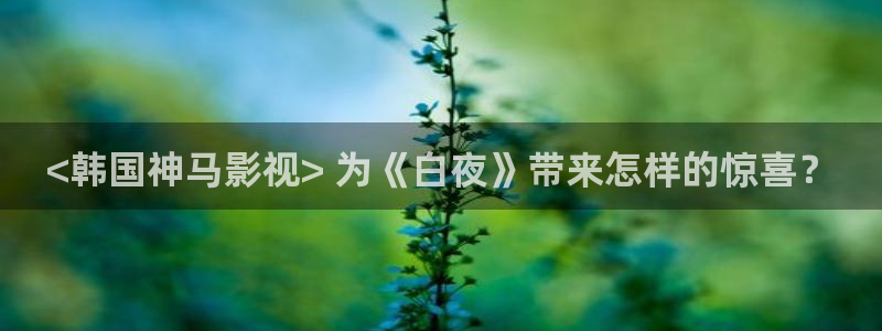 樱桃视频在线看免费高清电视剧