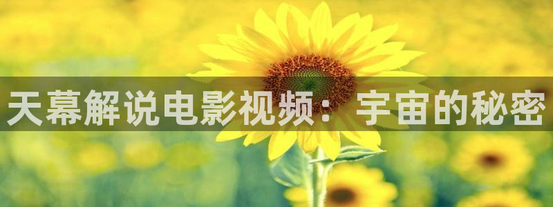 樱桃视频ios 下载