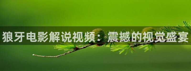 针叶樱桃vc片