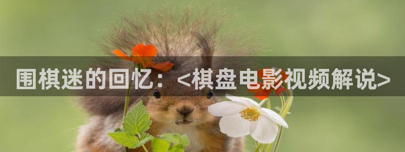91樱桃视频