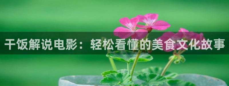 樱桃视频 在线观看
