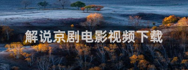 买樱桃视频