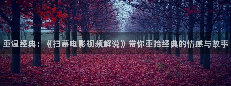 一级樱桃视频