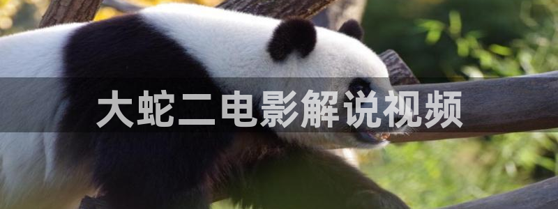 樱桃电视剧免费版高清在线观看全集