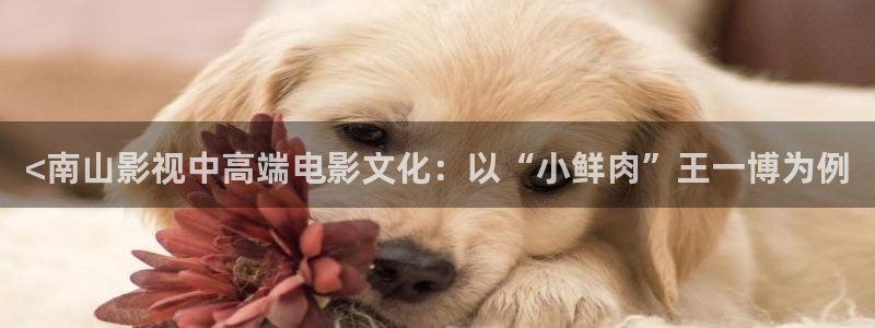 樱桃动漫在线观看免费高清电视剧荣耀
