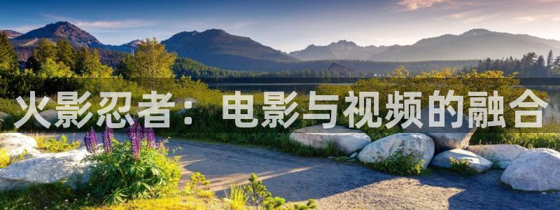 新闻图片