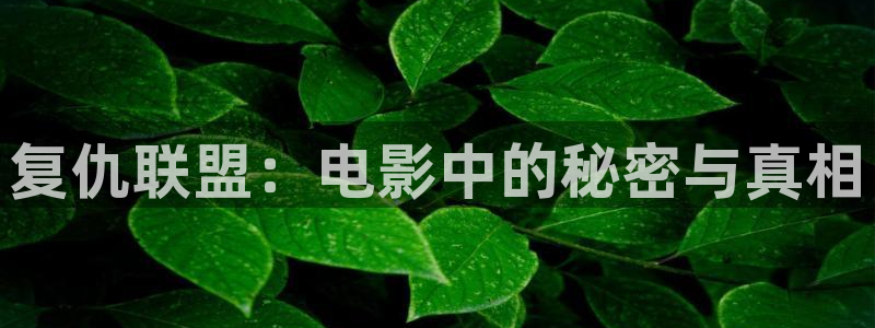 新闻图片