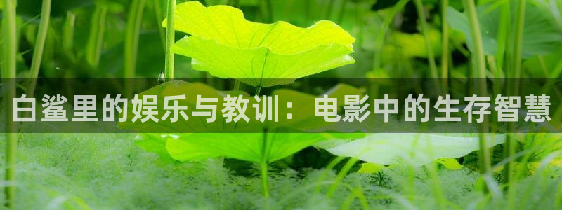 新闻图片